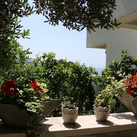 Beautifull Sea View Apartment Baška Voda Exteriér fotografie